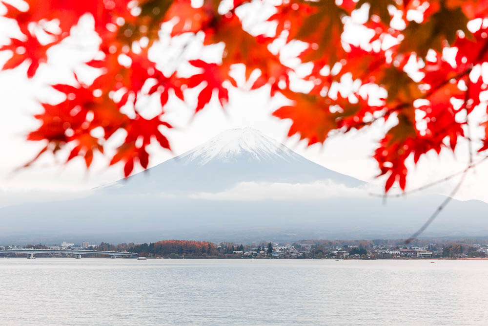 Fuji hakone pass