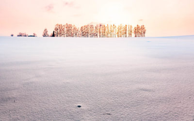 Hokkaido in Winter