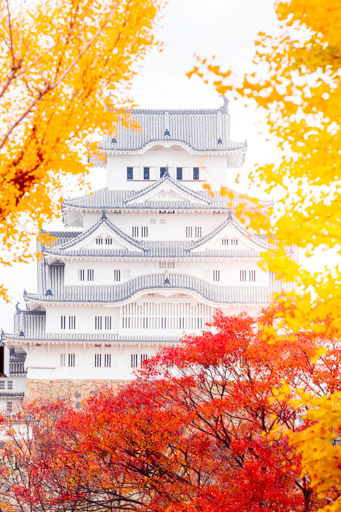Himeiji Castle Japan autumn 08