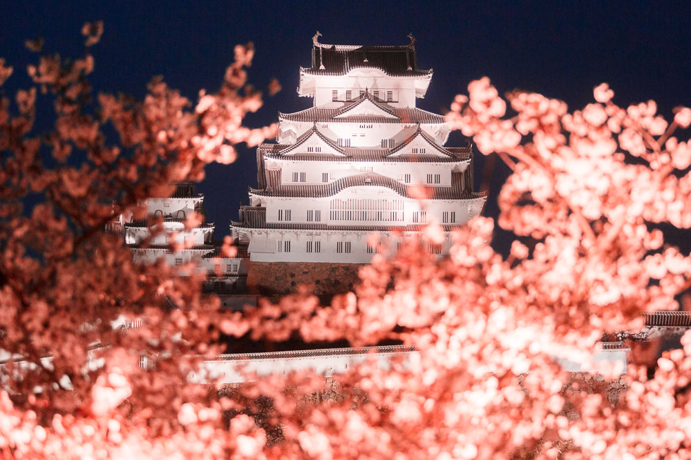 Himeiji Castle Japan spring 04