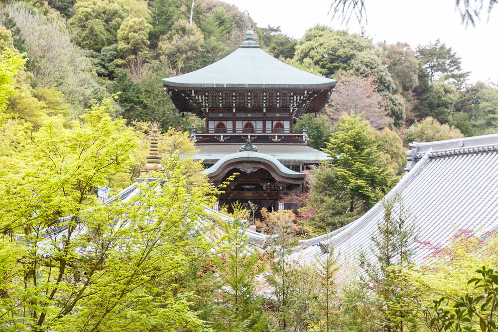 Japan Miyajima Daishoin 01