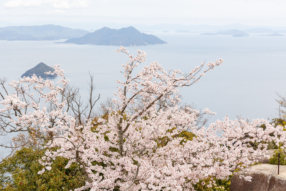 Japan Miyajima misen