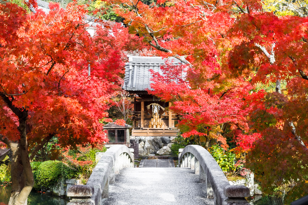 Japan momiji autumn Loic Lagarde Kyoto eikando