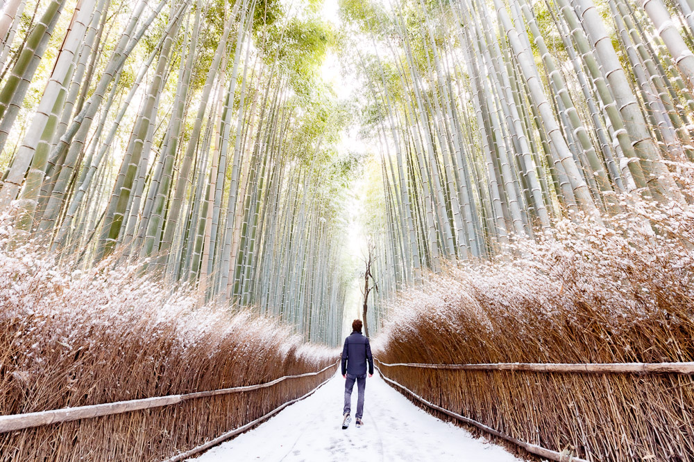 Japan Kyoto Arashiyama Loic Lagarde winter