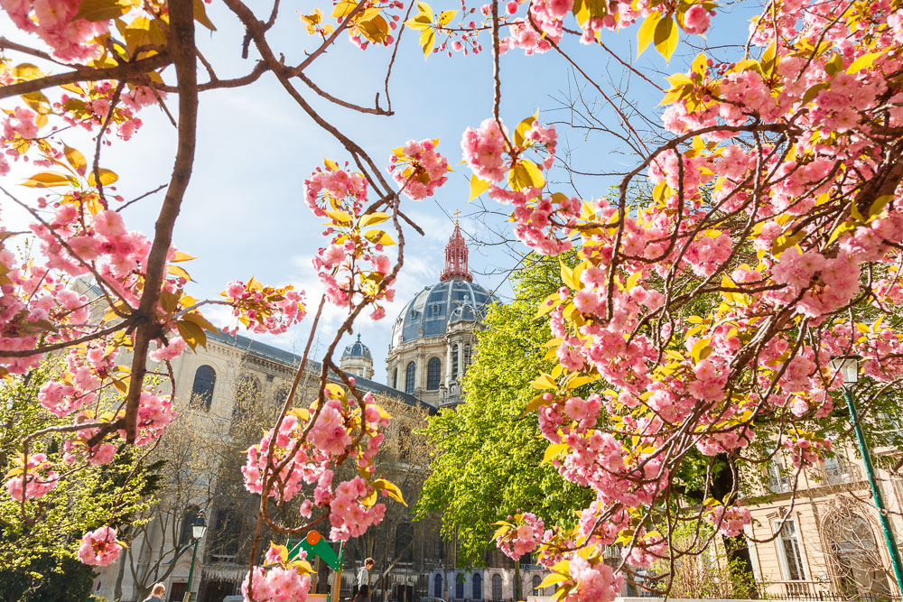 Paris Sping Printemps loic lagarde-10 Paris Sping Printemps loic lagarde-10