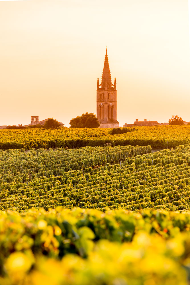 Clocher de l'église monolithe de Saint-Emilion au milieu des vignes en Gironde © Loic Lagarde