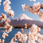 Top 10 photo Spots for Cherry Blossom in Japan