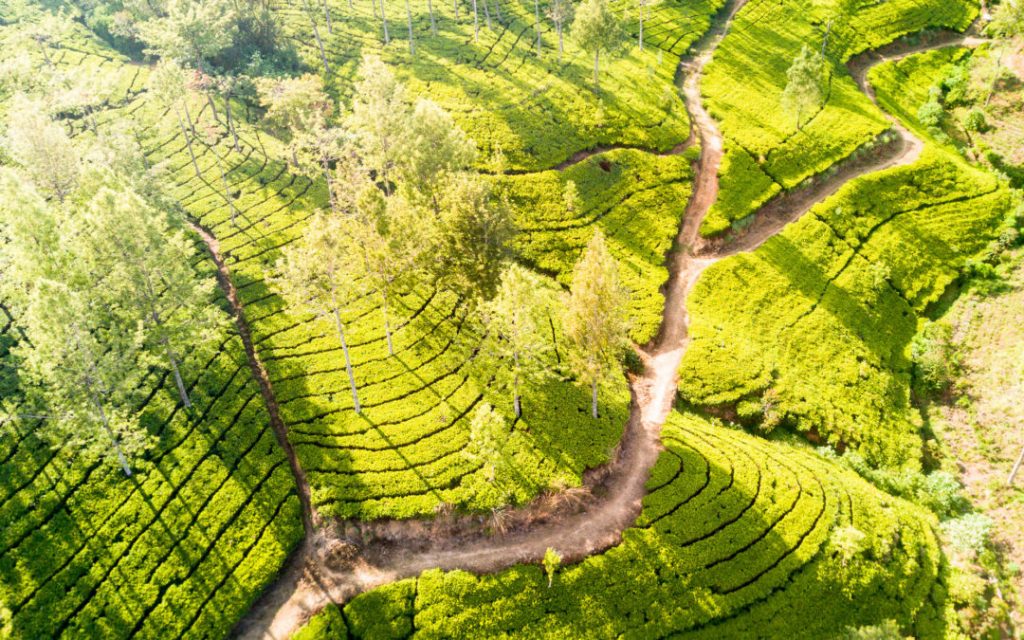 Sri Lanka in 10 days