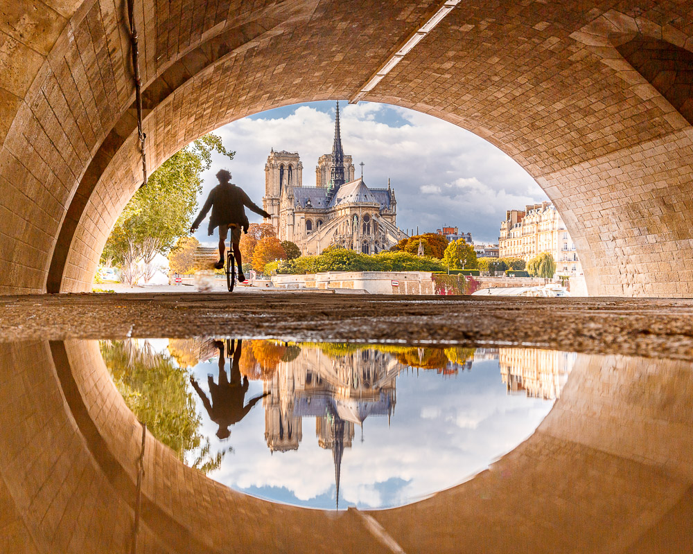 The Eye of Notre Dame de Paris